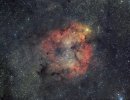 IC 1396.jpg